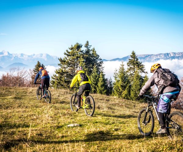 geführte Bike Tour Rear view of four people on mountain bikes cycling in the country side on a sunny day.