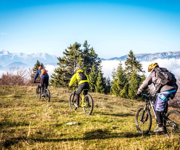 Rear view of four people on mountain bikes cycling in the country side on a sunny day.